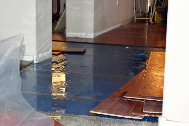 Professional Basement Flood Cleanup technician working in Nazlini, AZ